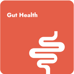 Gut Health